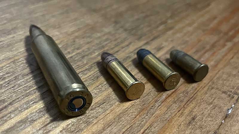 556 vs 22 LR vs 22 Long vs 22 Short