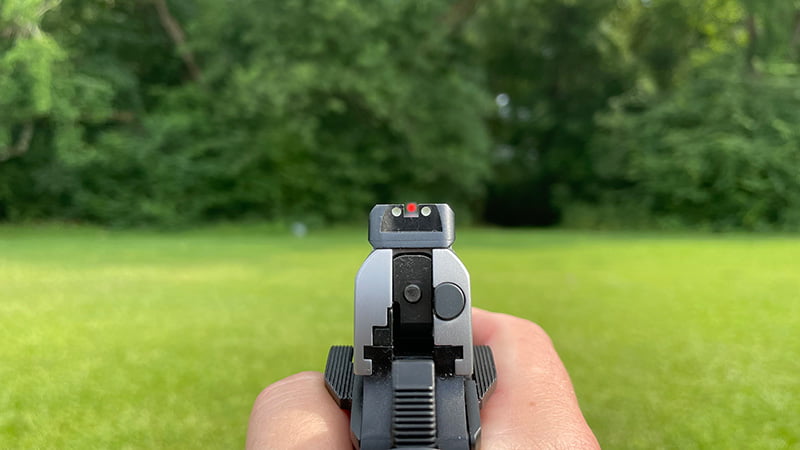 Springfield Armory EMP Rear Sight