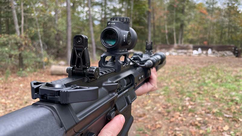 Backup Iron SIghts for AR-15