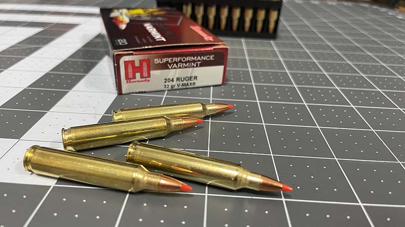 .204 Ruger Ammo