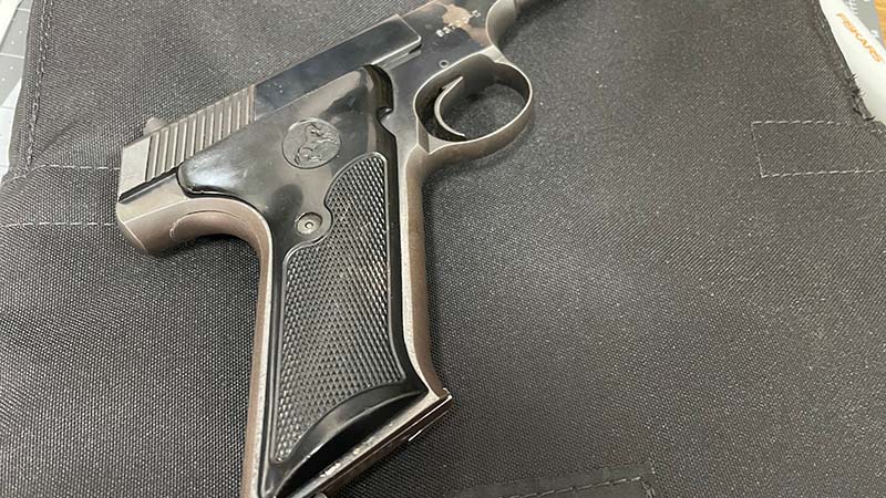 colt huntsman grips