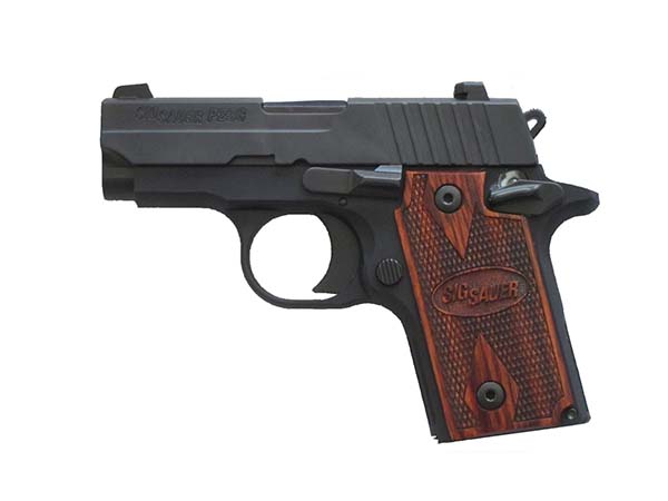 Sig P238 Stock