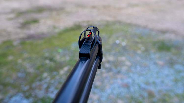 Review] Rossi Rio Bravo  A 22LR Lever Action under $300?