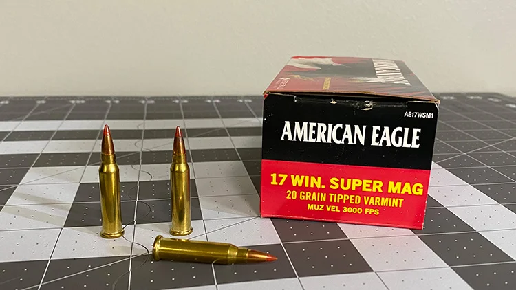 17 Winchester Super Magnum