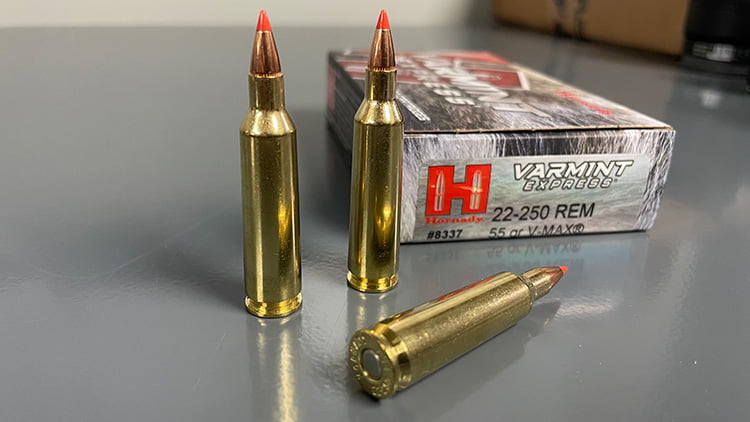 22 250 remington hornady