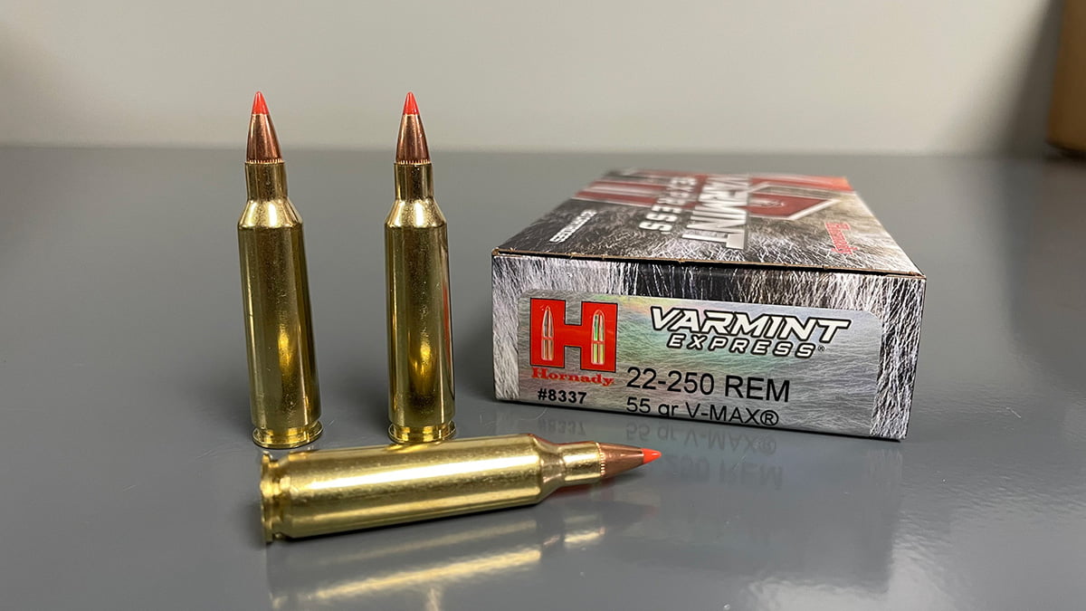 22 250 rifle ammo