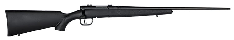 Savage Arms B.Mag in 17 WSM