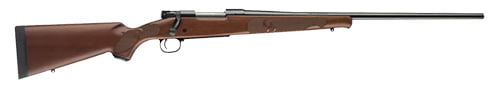 winchester model 70