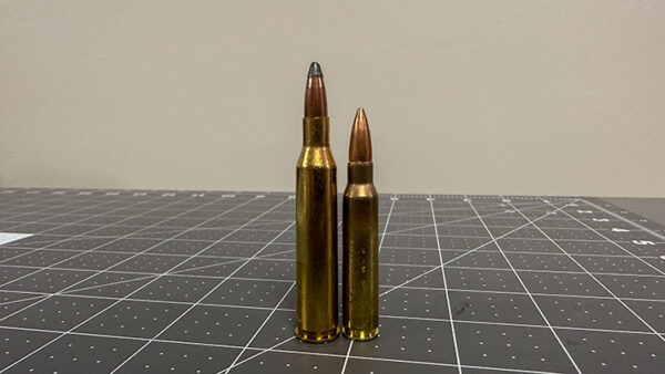 .220 Swift | Varmint and Small Game Powerhouse round?