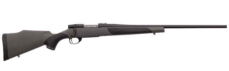 Weatherby Vanguard in .25-06 Remington