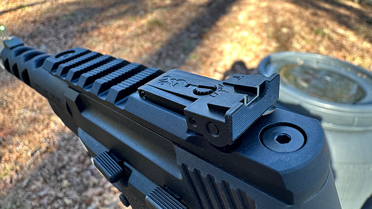 buckmark rear sight