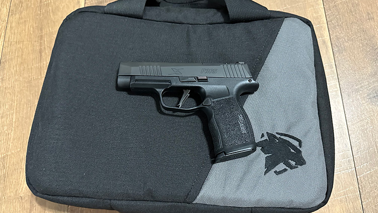 sig p365xl prime