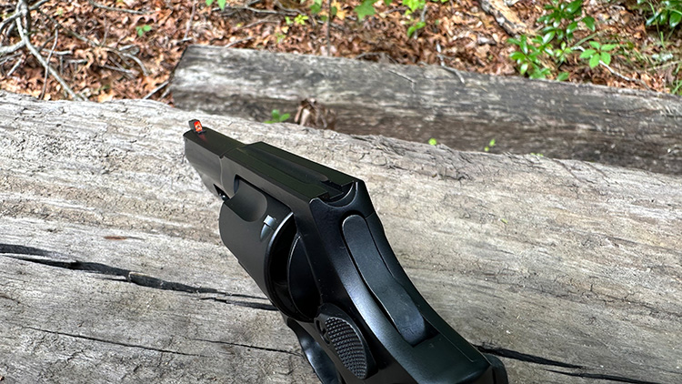 Taurus 905 sights