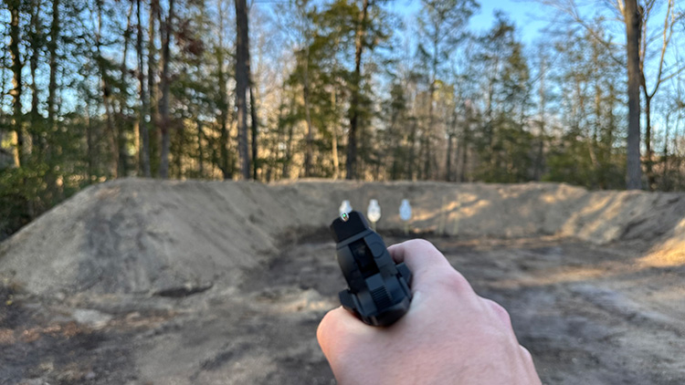 springfield prodigy sights